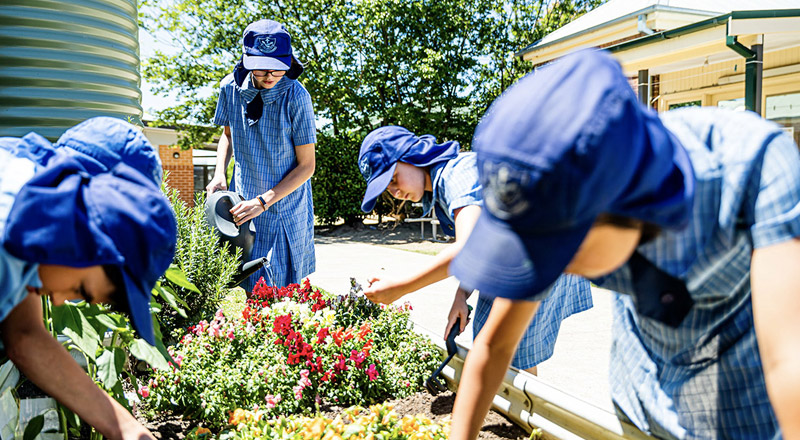 Vegetable Gardens and Orchards available at St Monica's Catholic Primary Richmond