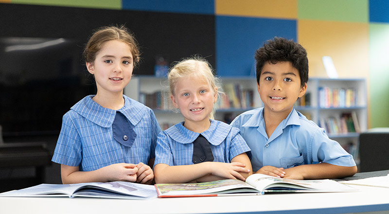 curriculum-literacy