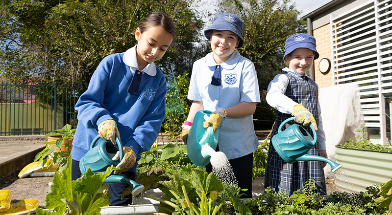 St Monica's Catholic Primary, Richmond offers extracurricular opportunities