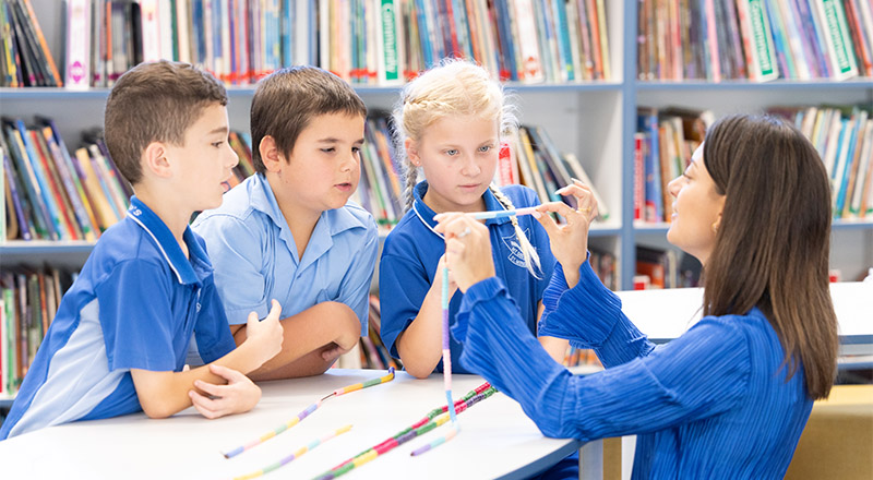 school-life-curriculum