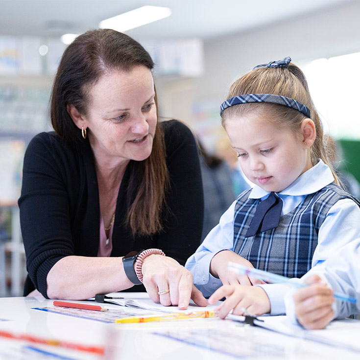 curriculum
