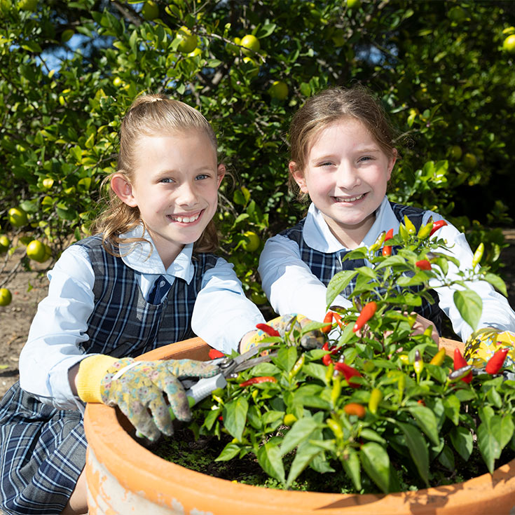 St Monica's Catholic Primary, Richmond offers extracurricular opportunities