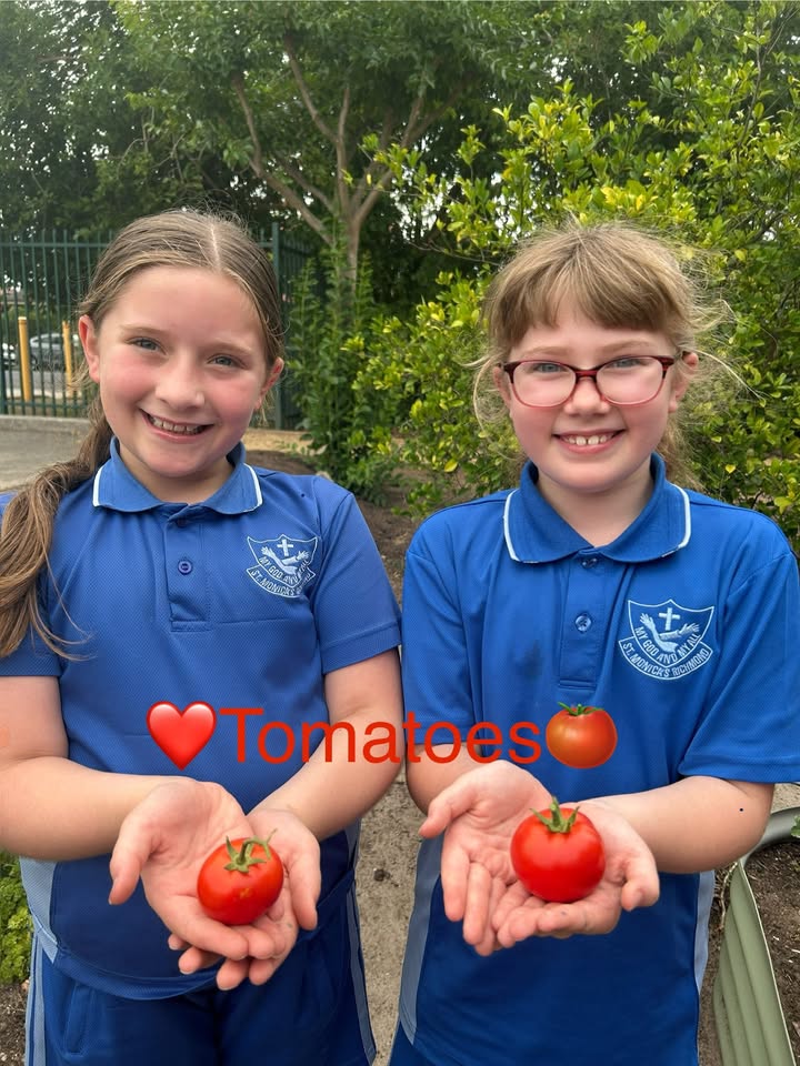 523129959818772_1431738865624539-1