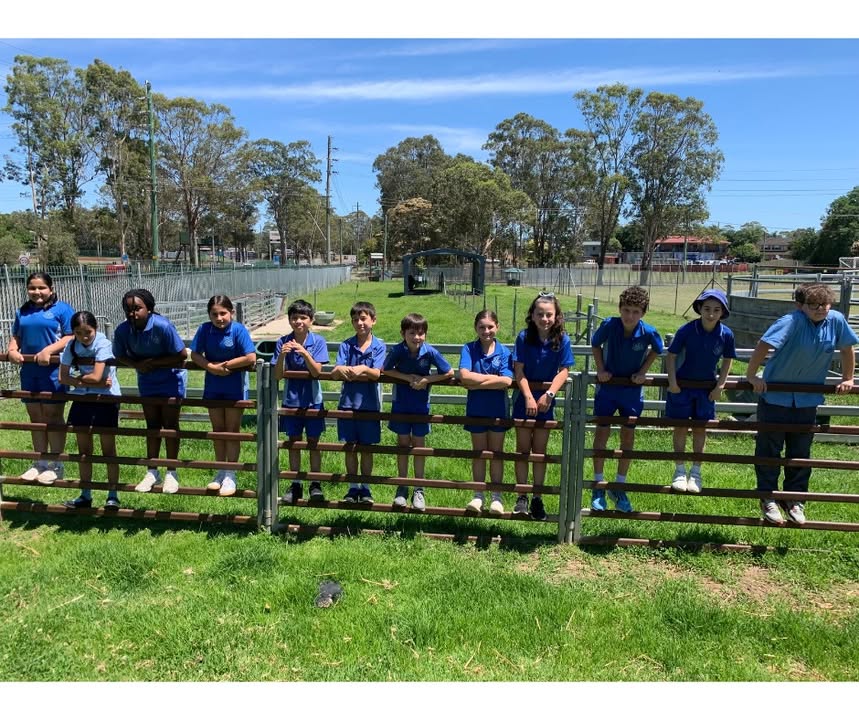 523129959818772_1444751894323236-1