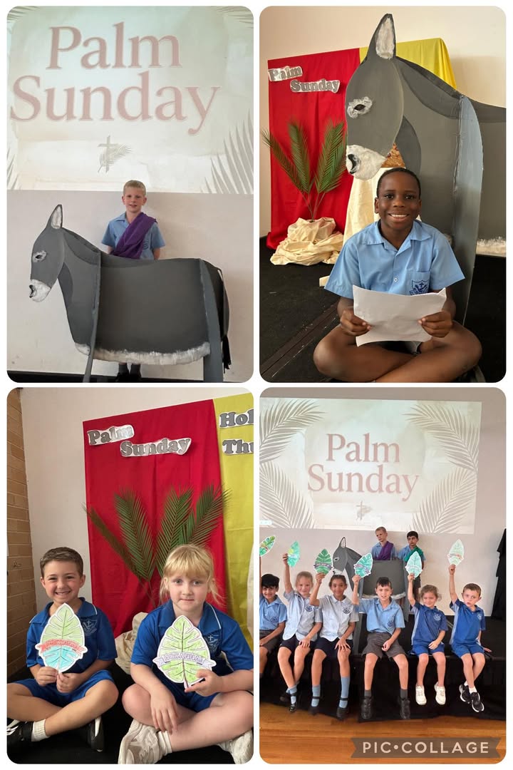 523129959818772_1542794834518941-1